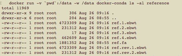 Docker_bowtie_ls