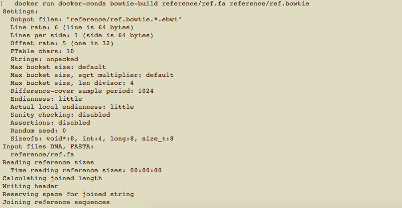 Docker_bowtie_index